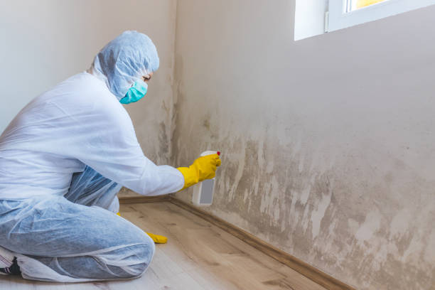 Mold Remediation specialist working in Bound Brook