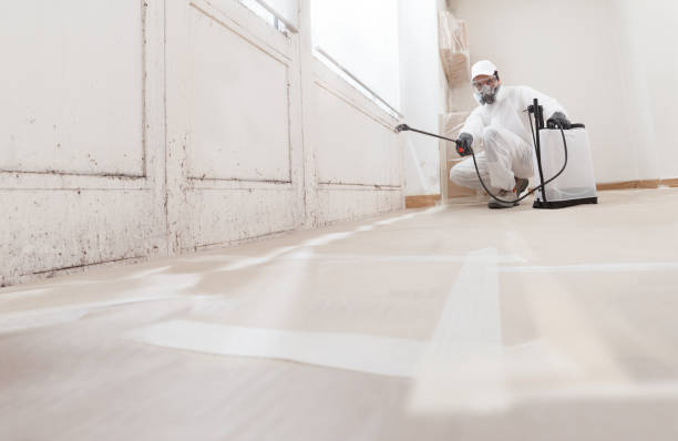 Black mold remediation team in Bound Brook